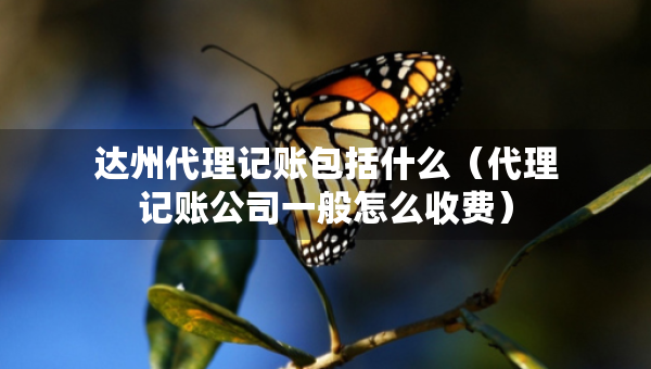 達(dá)州代理記賬包括什么（代理記賬公司一般怎么收費(fèi)）