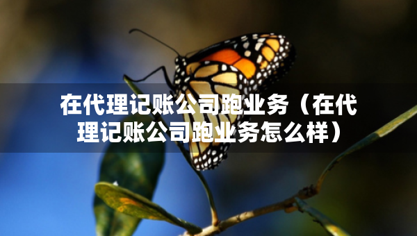 在代理記賬公司跑業(yè)務(wù)（在代理記賬公司跑業(yè)務(wù)怎么樣）