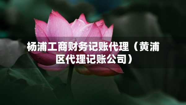 楊浦工商財(cái)務(wù)記賬代理（黃浦區(qū)代理記賬公司）