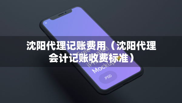 沈陽(yáng)代理記賬費(fèi)用（沈陽(yáng)代理會(huì)計(jì)記賬收費(fèi)標(biāo)準(zhǔn)）