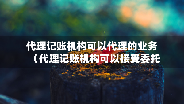 代理記賬機構(gòu)可以代理的業(yè)務(wù)（代理記賬機構(gòu)可以接受委托辦理哪些業(yè)務(wù)）