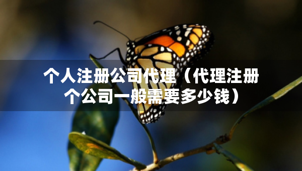 個(gè)人注冊(cè)公司代理（代理注冊(cè)個(gè)公司一般需要多少錢）