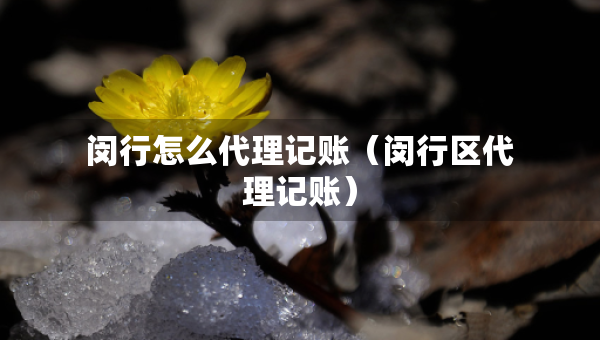 閔行怎么代理記賬（閔行區(qū)代理記賬）