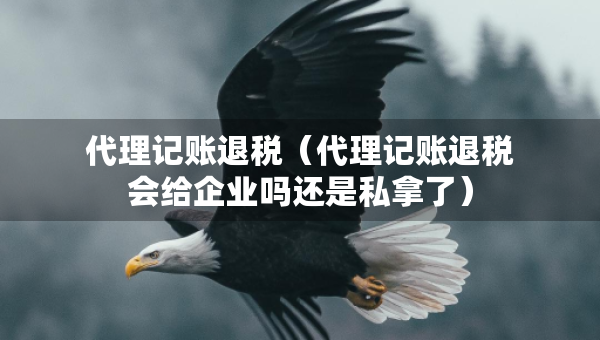 代理記賬退稅（代理記賬退稅會給企業(yè)嗎還是私拿了）