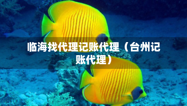 臨海找代理記賬代理（臺州記賬代理）