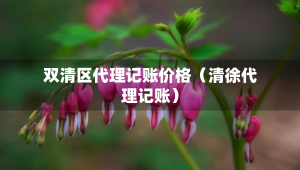 雙清區(qū)代理記賬價(jià)格（清徐代理記賬）