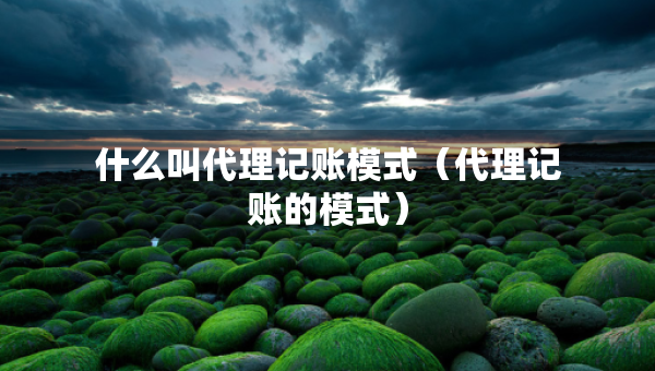 什么叫代理記賬模式（代理記賬的模式）