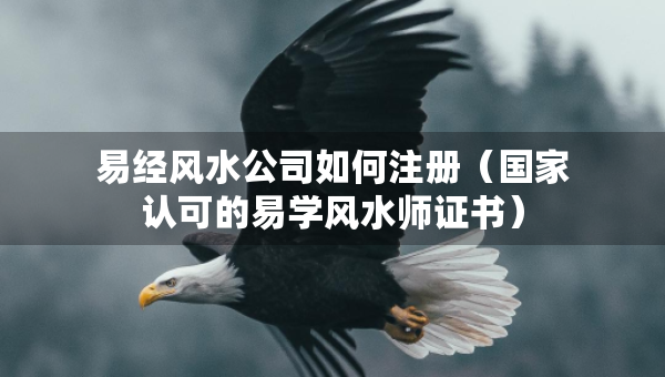 易經(jīng)風(fēng)水公司如何注冊(cè)（國(guó)家認(rèn)可的易學(xué)風(fēng)水師證書(shū)）