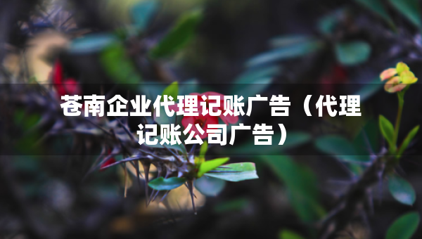 蒼南企業(yè)代理記賬廣告（代理記賬公司廣告）