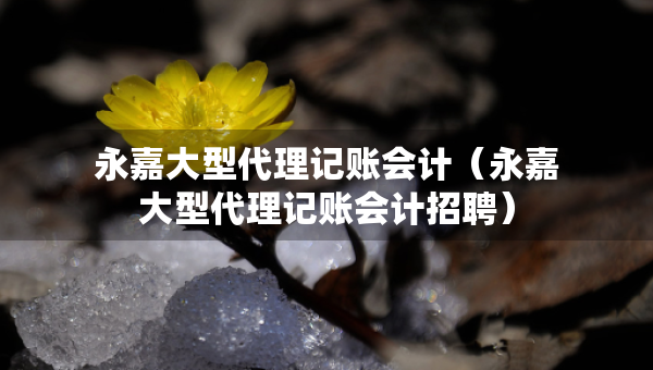 永嘉大型代理記賬會計（永嘉大型代理記賬會計招聘）