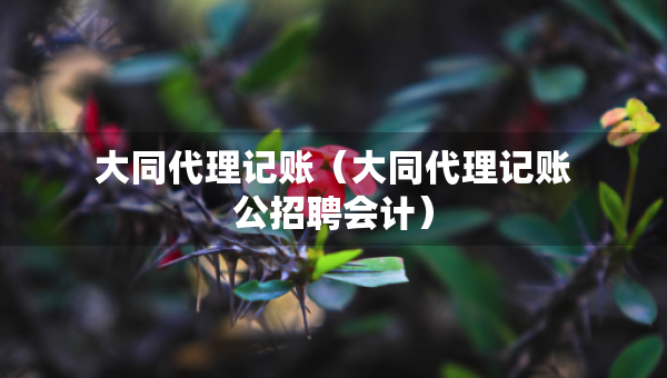 大同代理記賬（大同代理記賬公招聘會計）