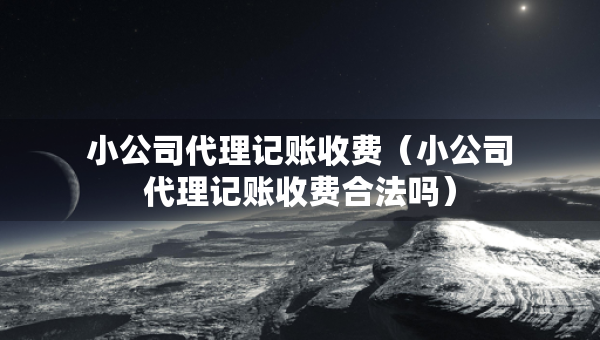 小公司代理記賬收費（小公司代理記賬收費合法嗎）