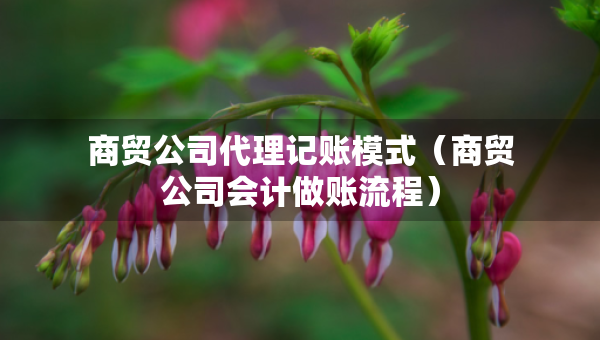 商貿(mào)公司代理記賬模式（商貿(mào)公司會計做賬流程）