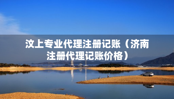 汶上專業(yè)代理注冊(cè)記賬（濟(jì)南注冊(cè)代理記賬價(jià)格）