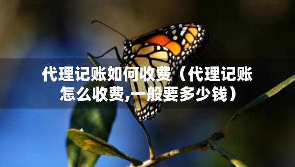 代理記賬如何收費(fèi)（代理記賬怎么收費(fèi),一般要多少錢）