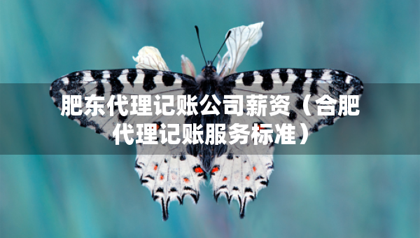 肥東代理記賬公司薪資（合肥代理記賬服務(wù)標(biāo)準(zhǔn)）