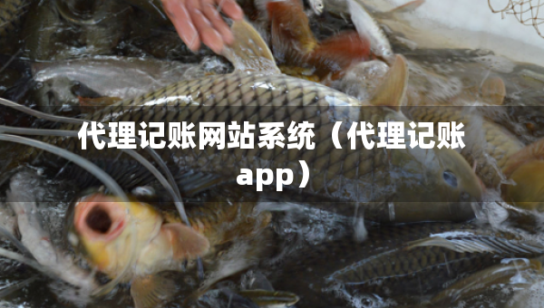 代理記賬網(wǎng)站系統(tǒng)（代理記賬app）