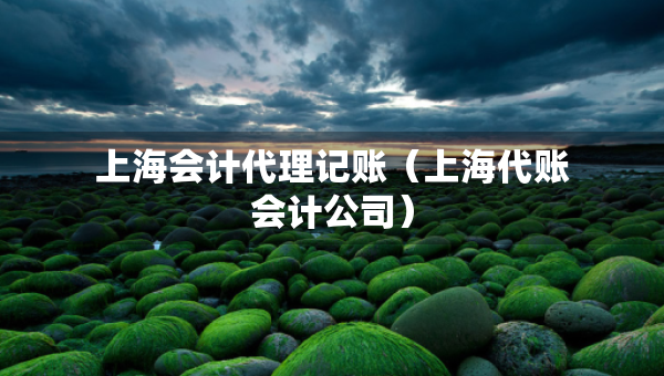 上海會計代理記賬（上海代賬會計公司）