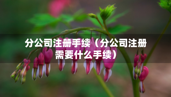 分公司注冊(cè)手續(xù)（分公司注冊(cè)需要什么手續(xù)）