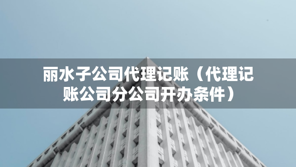 麗水子公司代理記賬（代理記賬公司分公司開辦條件）