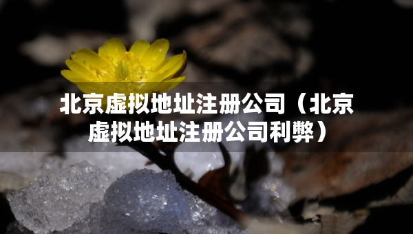 北京虛擬地址注冊(cè)公司（北京虛擬地址注冊(cè)公司利弊）