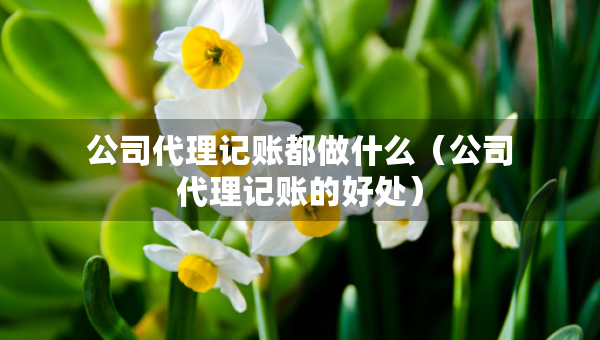 公司代理記賬都做什么（公司代理記賬的好處）