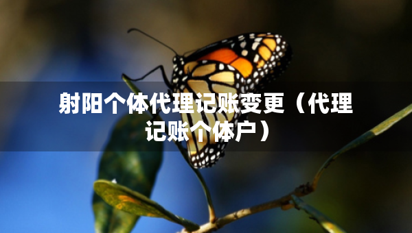 射陽(yáng)個(gè)體代理記賬變更（代理記賬個(gè)體戶）