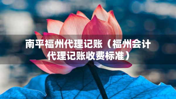 南平福州代理記賬（福州會計代理記賬收費(fèi)標(biāo)準(zhǔn)）