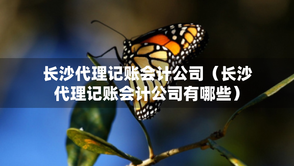 長沙代理記賬會計公司（長沙代理記賬會計公司有哪些）