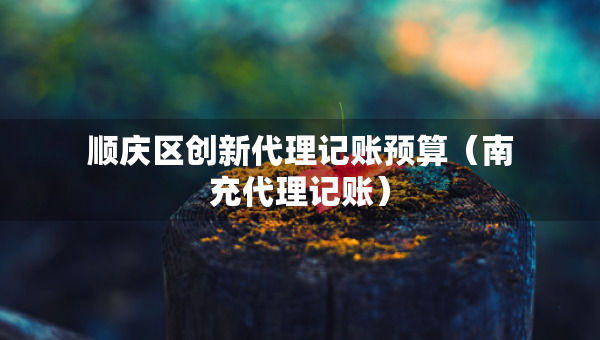 順慶區(qū)創(chuàng)新代理記賬預(yù)算（南充代理記賬）