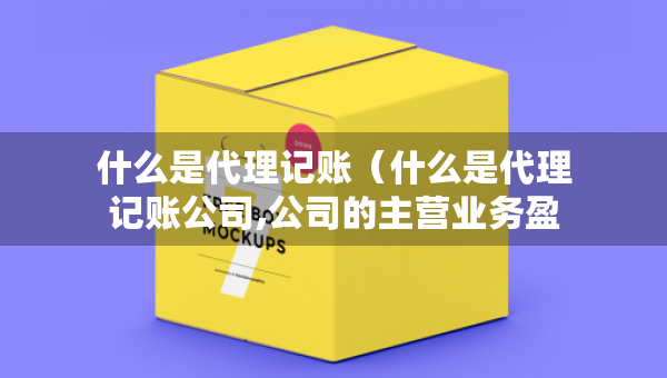 什么是代理記賬（什么是代理記賬公司,公司的主營業(yè)務(wù)盈利模式是什么?）