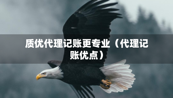 質(zhì)優(yōu)代理記賬更專業(yè)（代理記賬優(yōu)點(diǎn)）