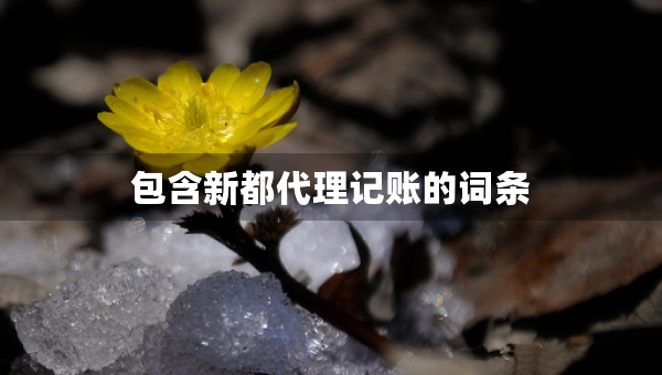 包含新都代理記賬的詞條