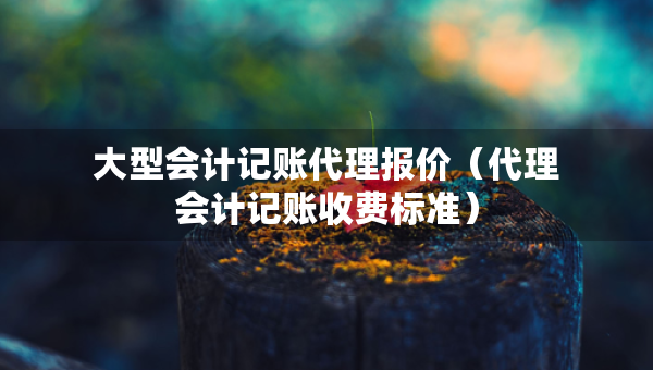 大型會計記賬代理報價（代理會計記賬收費標(biāo)準(zhǔn)）