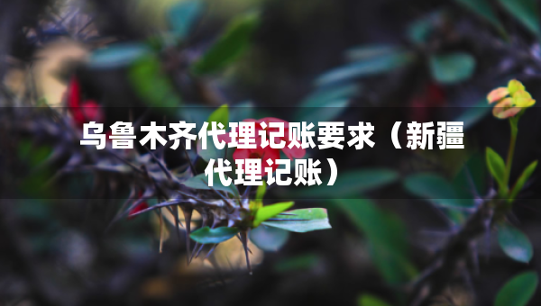 烏魯木齊代理記賬要求（新疆代理記賬）