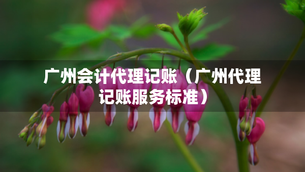 廣州會(huì)計(jì)代理記賬（廣州代理記賬服務(wù)標(biāo)準(zhǔn)）