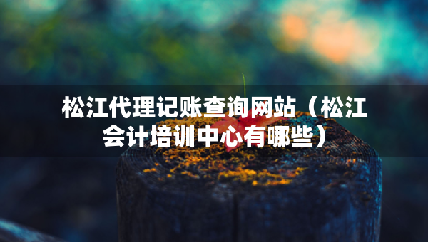 松江代理記賬查詢網(wǎng)站（松江會計培訓(xùn)中心有哪些）