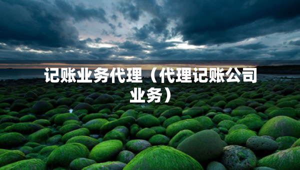 記賬業(yè)務(wù)代理（代理記賬公司業(yè)務(wù)）