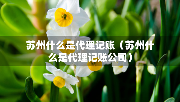 蘇州什么是代理記賬（蘇州什么是代理記賬公司）