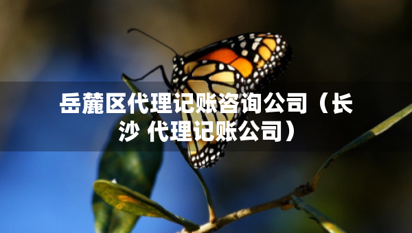 岳麓區(qū)代理記賬咨詢公司（長沙 代理記賬公司）