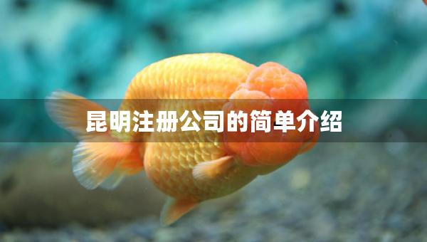 昆明注冊(cè)公司的簡(jiǎn)單介紹