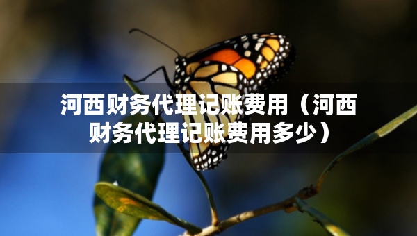 河西財(cái)務(wù)代理記賬費(fèi)用（河西財(cái)務(wù)代理記賬費(fèi)用多少）