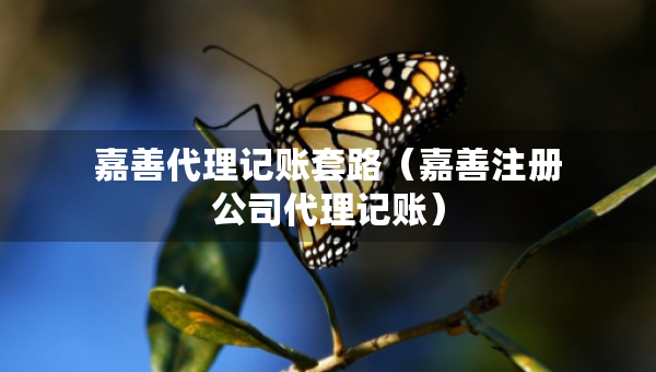 嘉善代理記賬套路（嘉善注冊公司代理記賬）