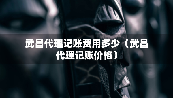 武昌代理記賬費用多少（武昌代理記賬價格）