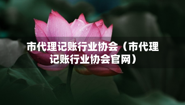 市代理記賬行業(yè)協(xié)會(huì)（市代理記賬行業(yè)協(xié)會(huì)官網(wǎng)）