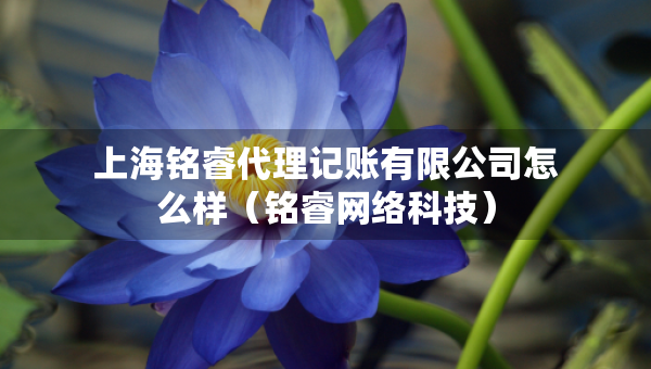 上海銘睿代理記賬有限公司怎么樣（銘睿網(wǎng)絡(luò)科技）