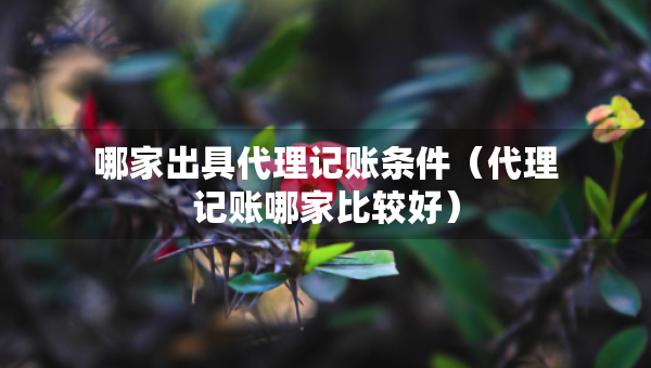 哪家出具代理記賬條件（代理記賬哪家比較好）