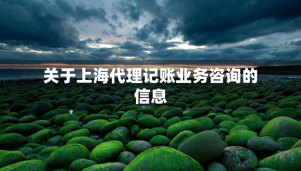 關于上海代理記賬業(yè)務咨詢的信息