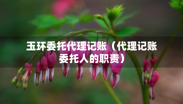 玉環(huán)委托代理記賬（代理記賬委托人的職責(zé)）