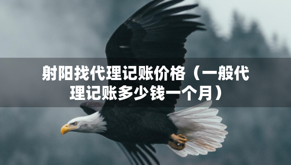 射陽找代理記賬價(jià)格（一般代理記賬多少錢一個(gè)月）